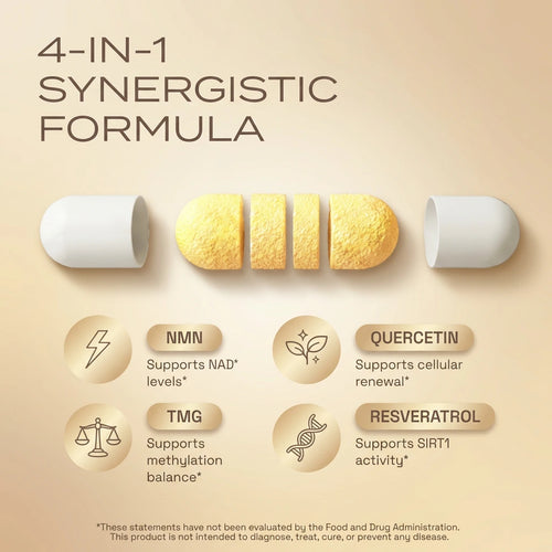 Try Bloom NMN Supplement (60 Capsules) – 1000 mg